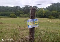 VENTA DE FINCA EN SAN MIGUEL DE QUILOÑO. CASTRILLÓN.