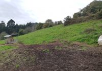 VENTA DE FINCA EN MOLLEDA. CORVERA DE ASTURIAS.