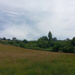 VENTA DE FINCA. PILLARNO. CASTRILLÓN.