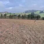VENTA DE FINCA. CARDO. GOZÓN.