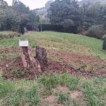 VENTA DE FINCA. ILLAS